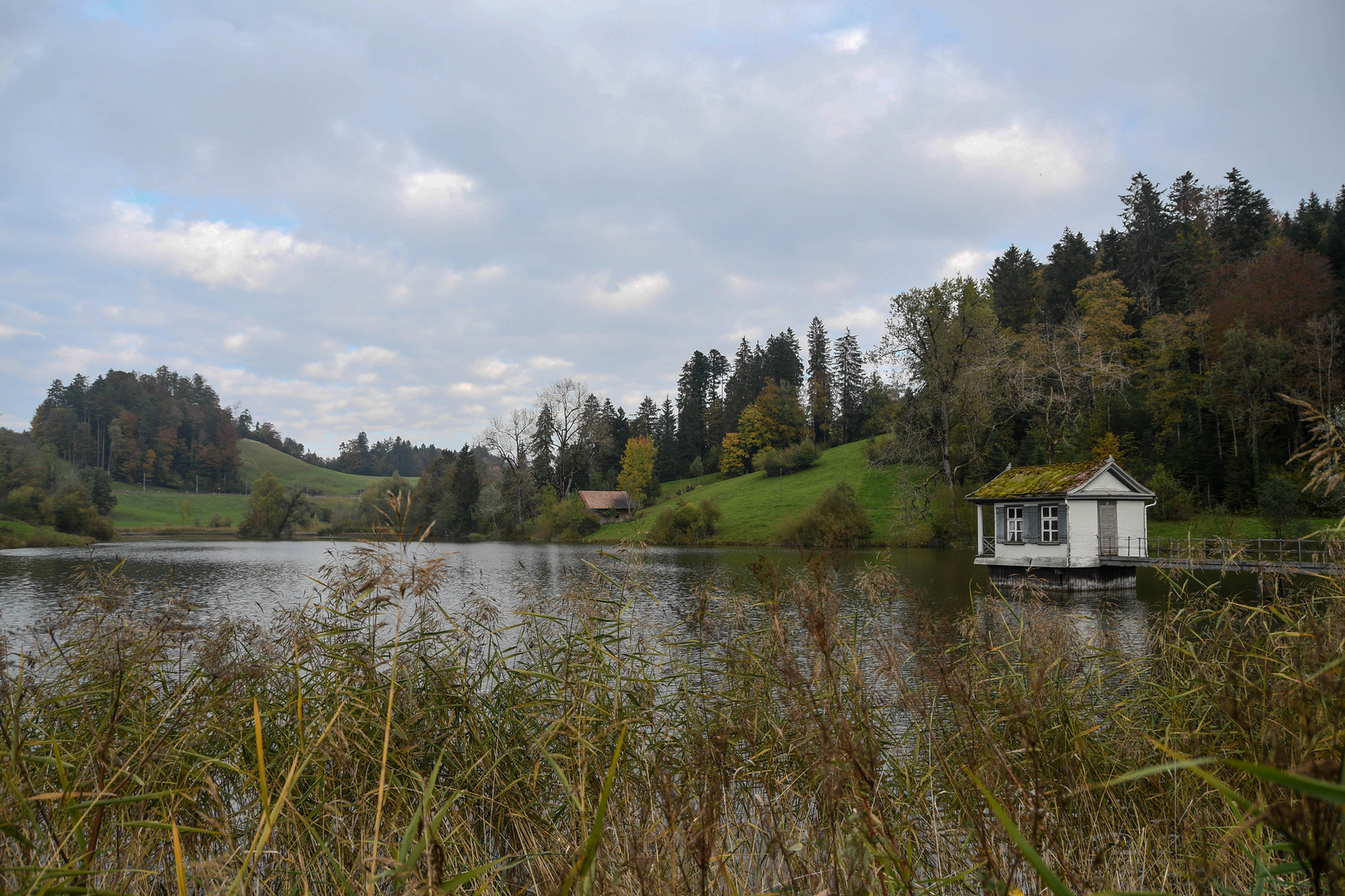 Wenigerweiher