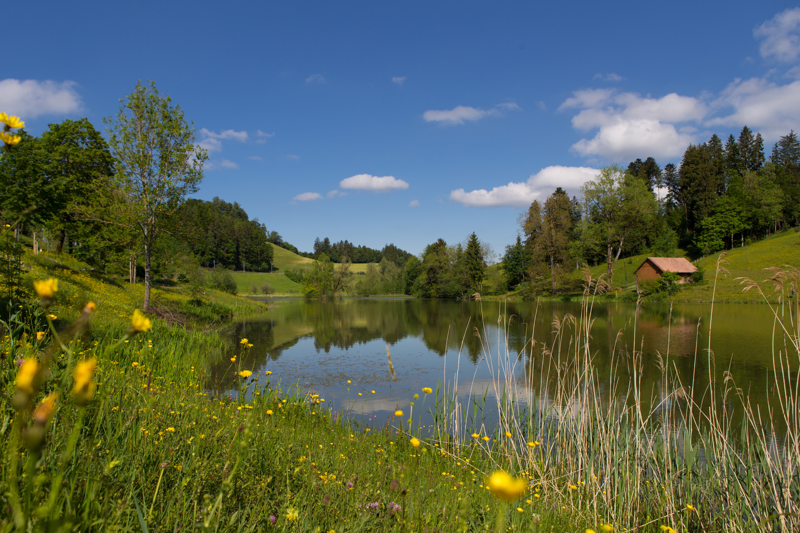 Wenigerweiher