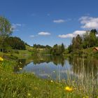 Wenigerweiher