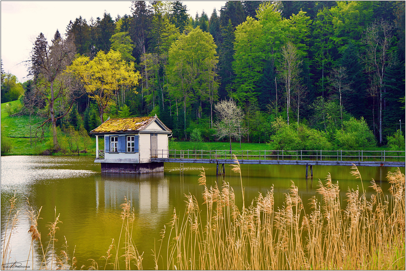 Wenigerweiher