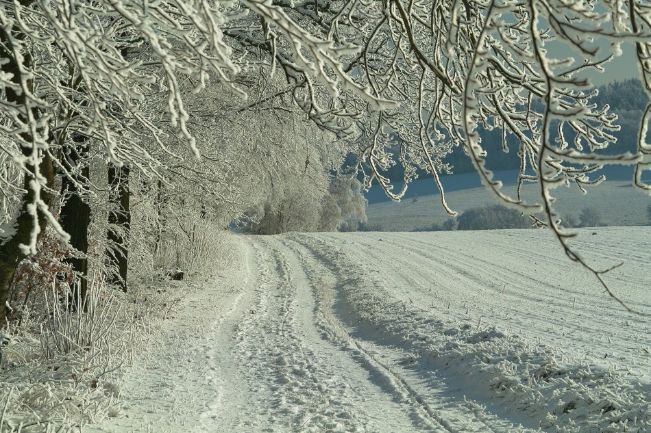 wenigsten etwas schnee...