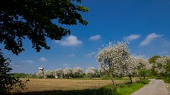 Wenigsten mal ein Tag Sonne für die Apfelblüte...