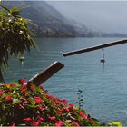 "Wenn alle Brünnlein ..." - Uferpromenade Montreux