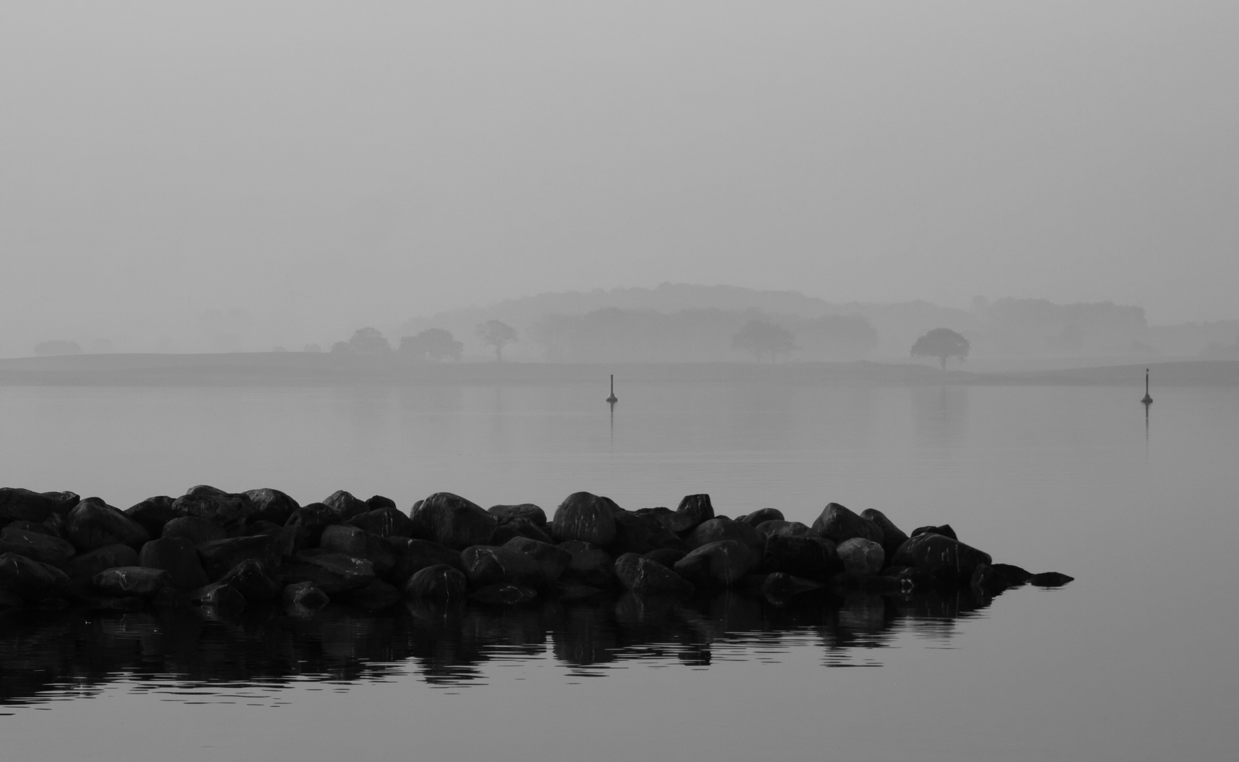 wenn alles im nebel verschwindet .