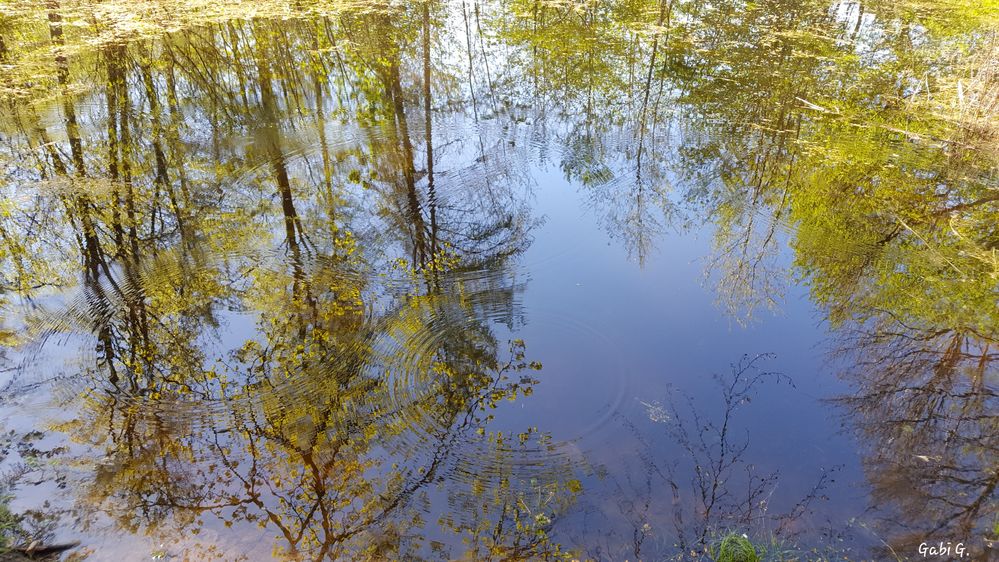 Wenn alles ins Wasser fällt 