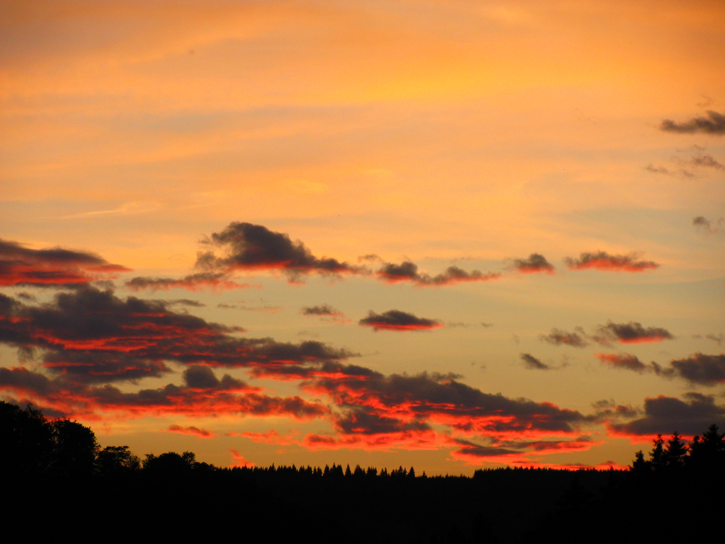 Wenn am Abend die rote Sonne hinterm Wald verschwindt'...