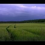 ...wenn Andere nicht draußen sind... - oder: die Ruhe vor dem Sturm...