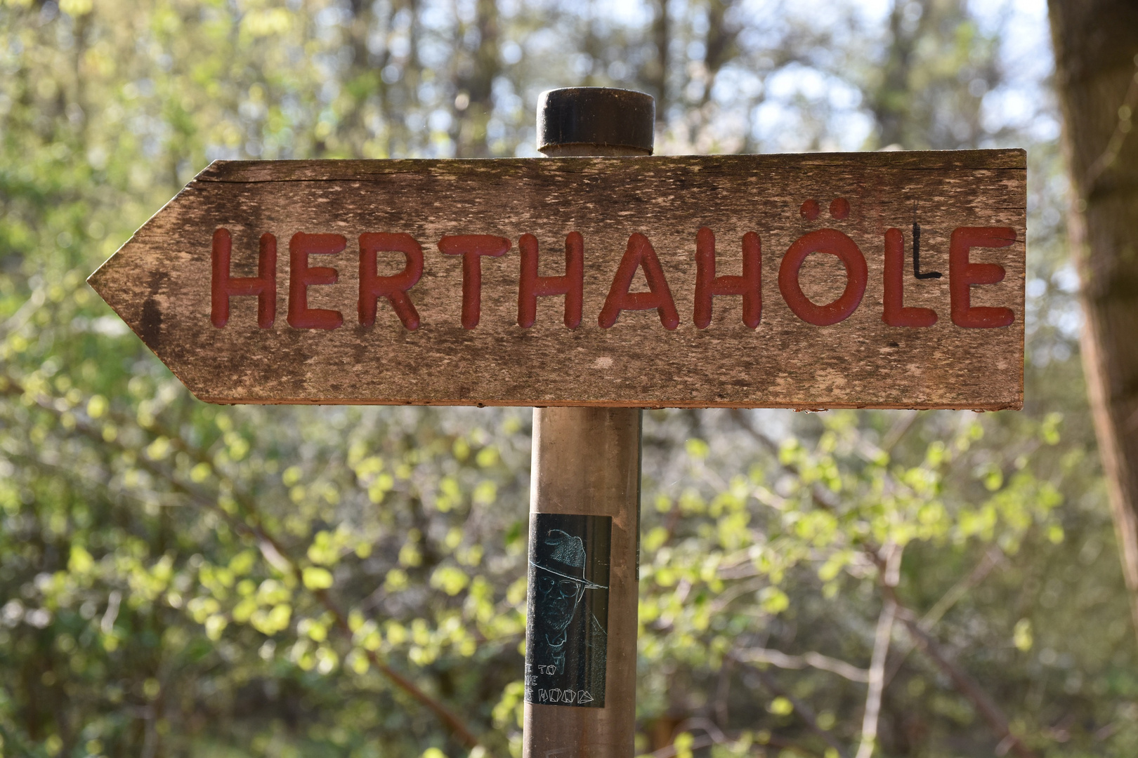 Wenn aus der Höhle eine Hölle wird...