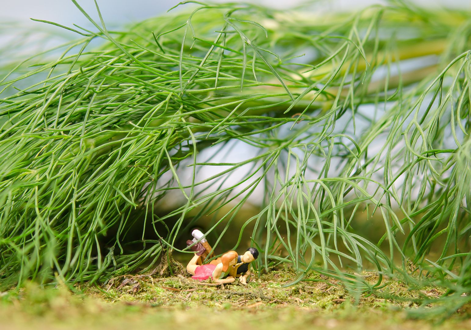 Wenn bei Dr. Dill...