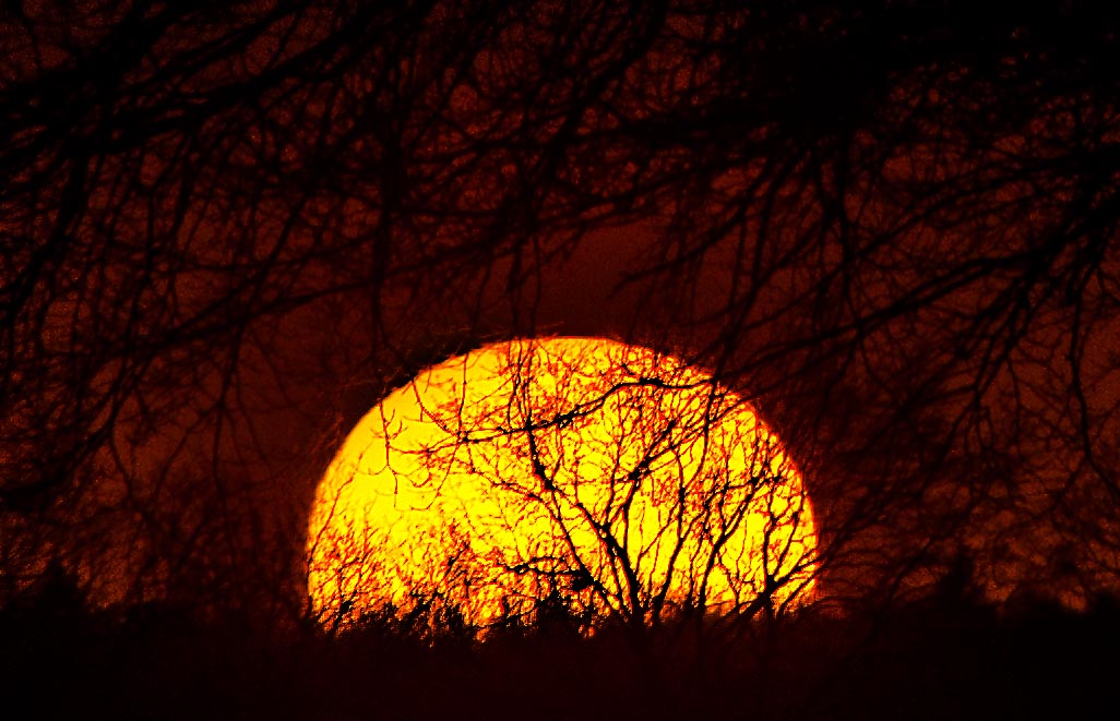 ....wenn bei Halstenbek die Sonne im Wald versinkt....