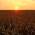 Wenn bei Jüchen die rote Sonne......