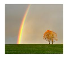 Wenn dann auch noch ein Regenbogen….