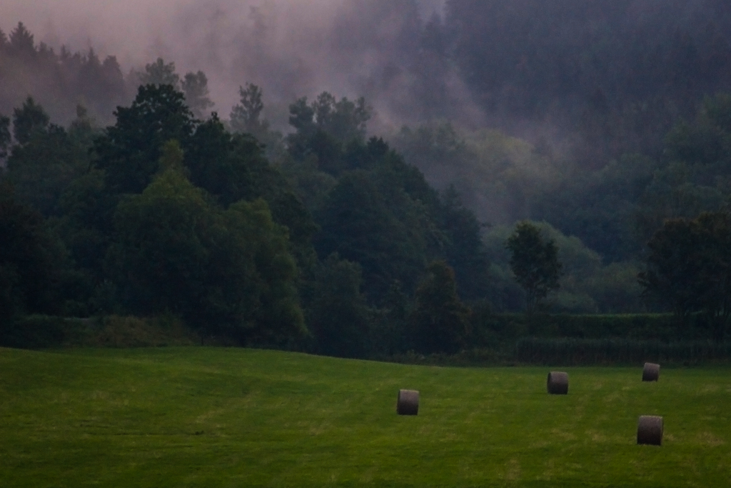 wenn dann der Nebel Einzug hält