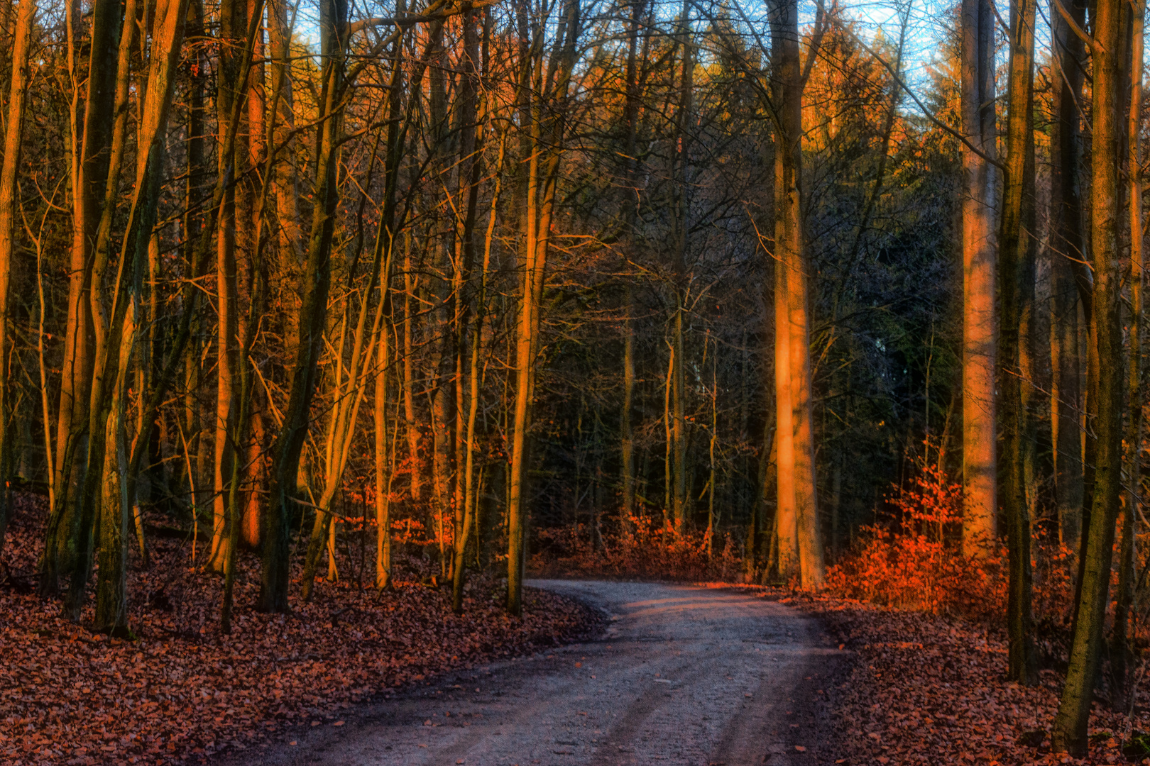 Wenn das Abendlicht ...