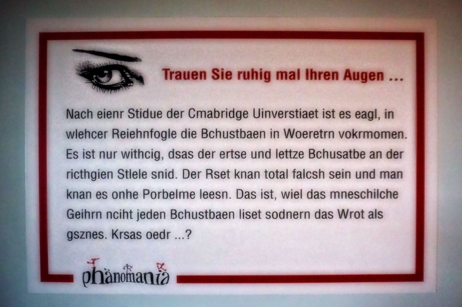 Wenn das Auge dem Gehirn diktiert ...