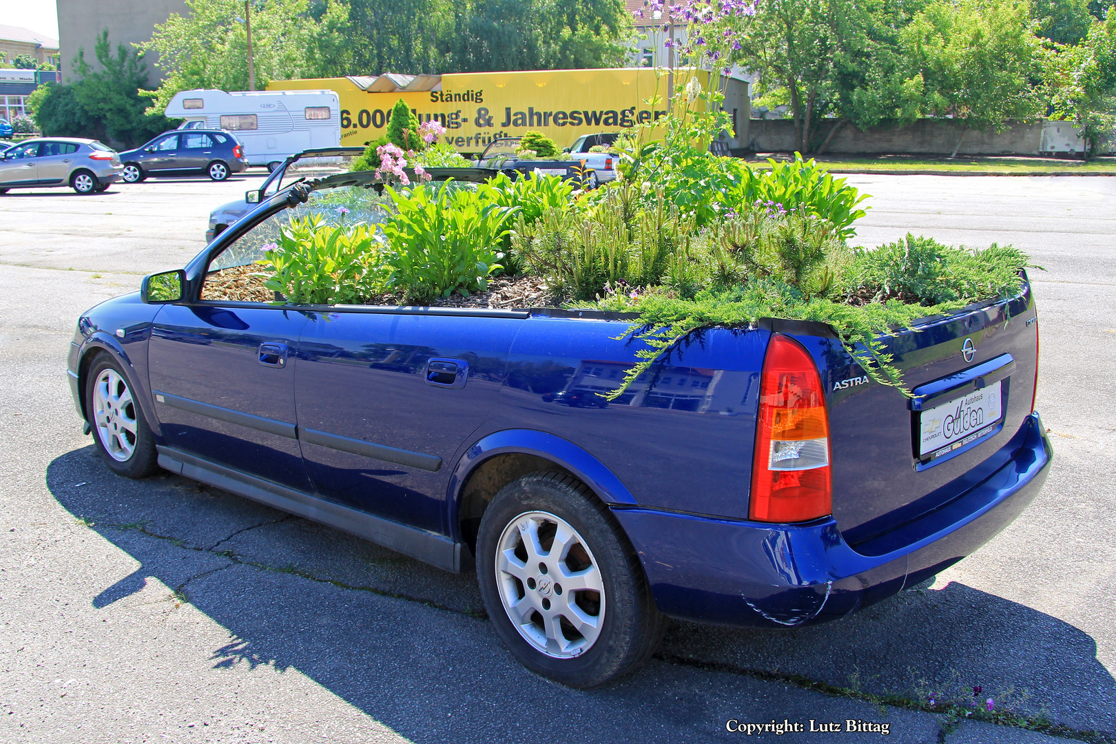 Wenn das Cabrio zu lange offen parkt ...