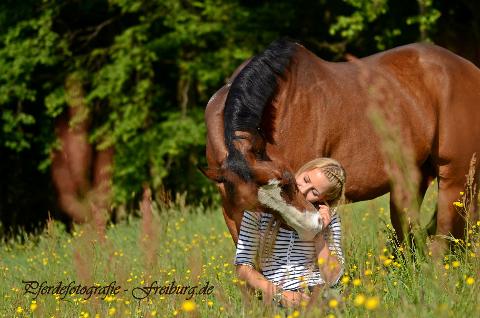 Wenn das keine Liebe ist...