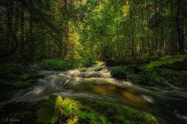 Wenn das Sonnenlicht zaubert