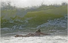 Wenn das Wasser grün wird .....