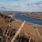 Wenn das Wasser im Rhein ...