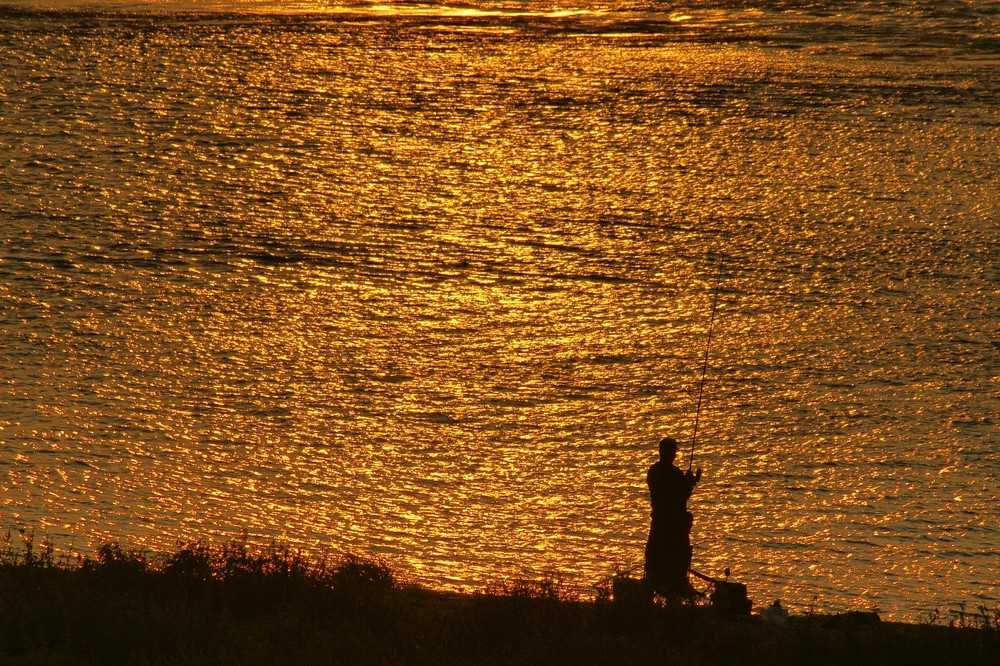 Wenn das Wasser im Rhein gold´ner Wein wär...