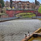 Wenn das Wasser nur nicht so kalt wäre . . .