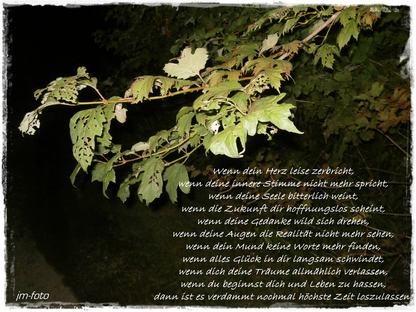 Wenn dein Herz leise zerbricht,.. Foto & Bild gratulation und