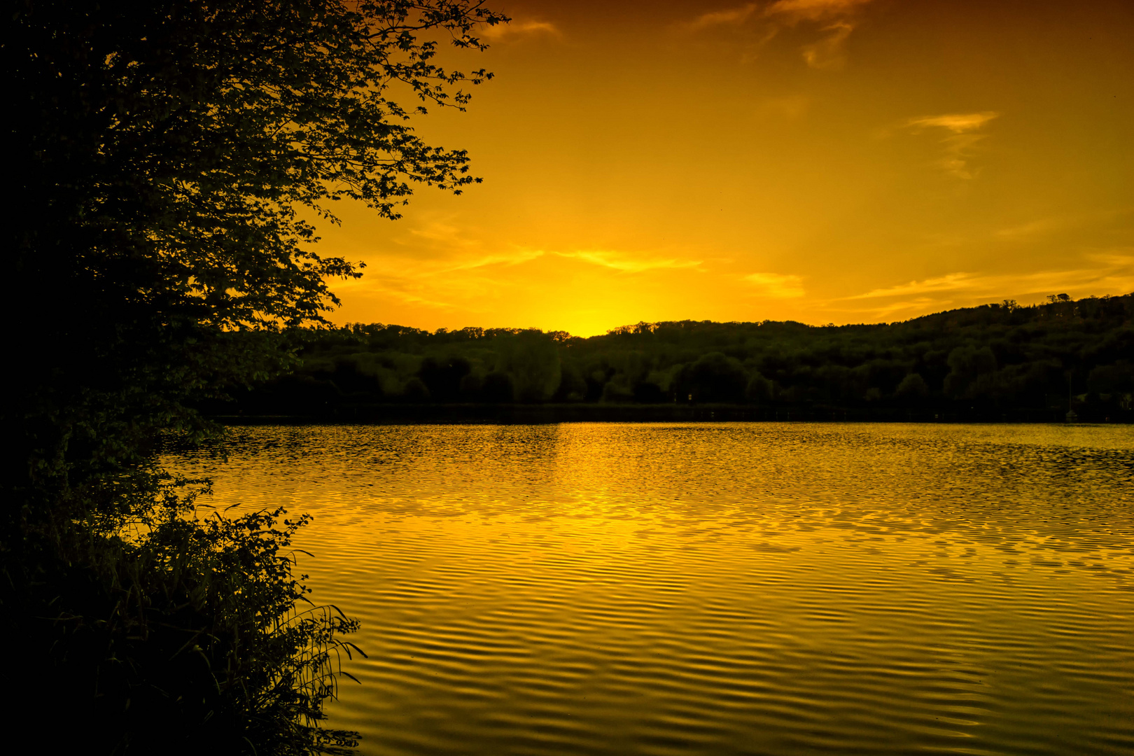 Wenn der Baldeneysee golden schimmert