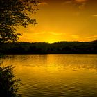 Wenn der Baldeneysee golden schimmert