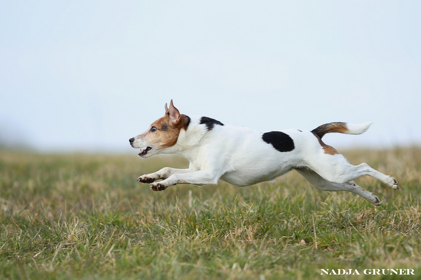 Wenn der Ball fliegt, ist das Alter nur noch Nebensache:-)