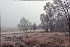 Wenn der böhmische Nebel zuschlägt....