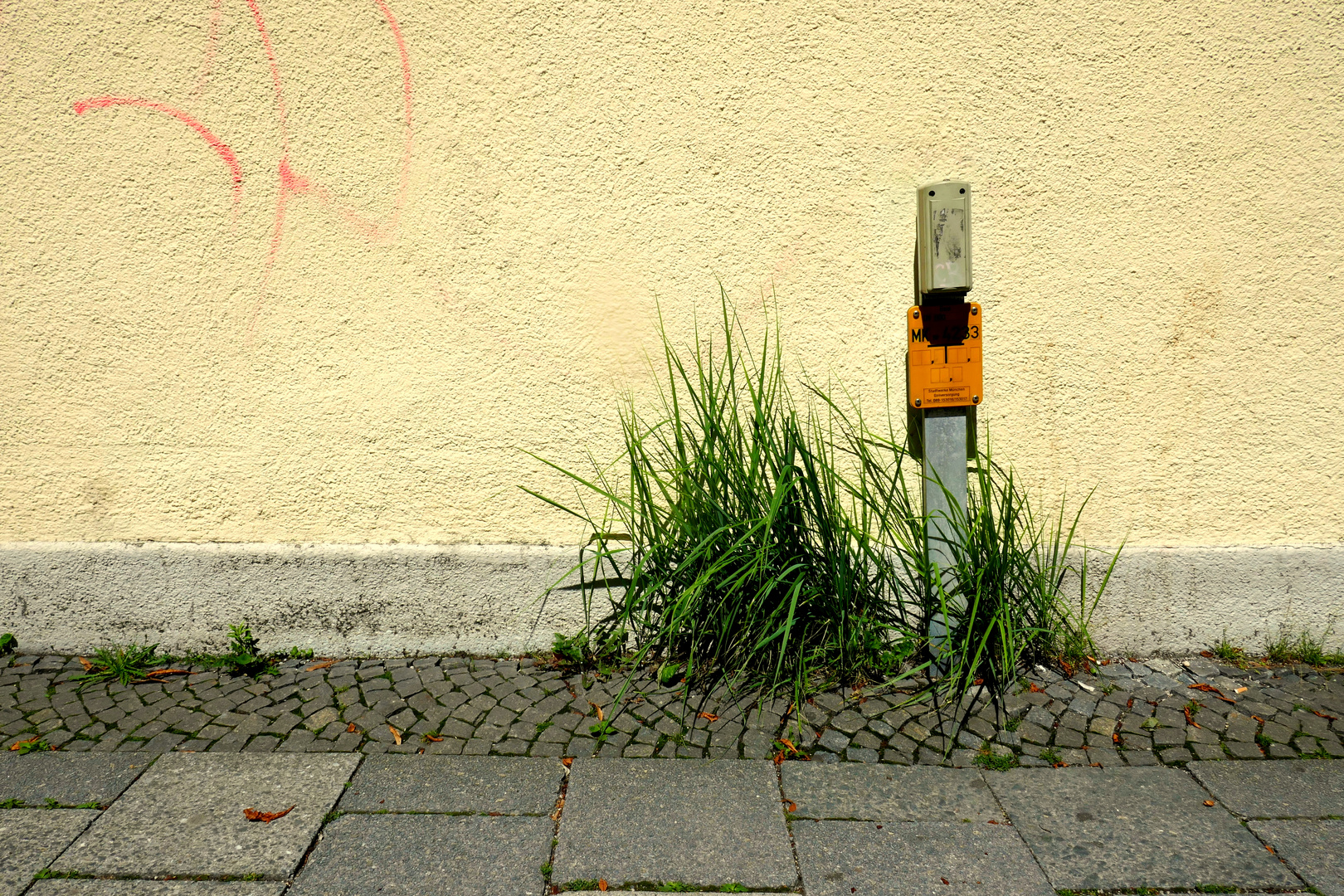 wenn der Friseur ungenau arbeitet