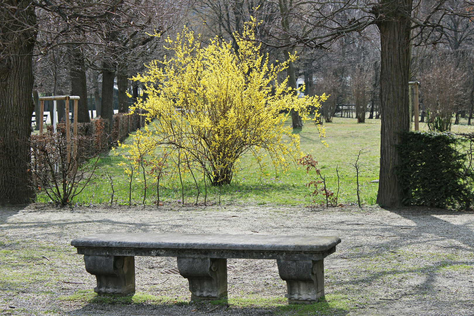 Wenn der Frühling erwacht ...