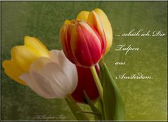 Wenn der Frühling kommt...