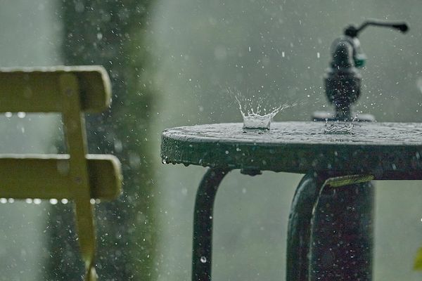 Wenn der Grillabend mal wieder