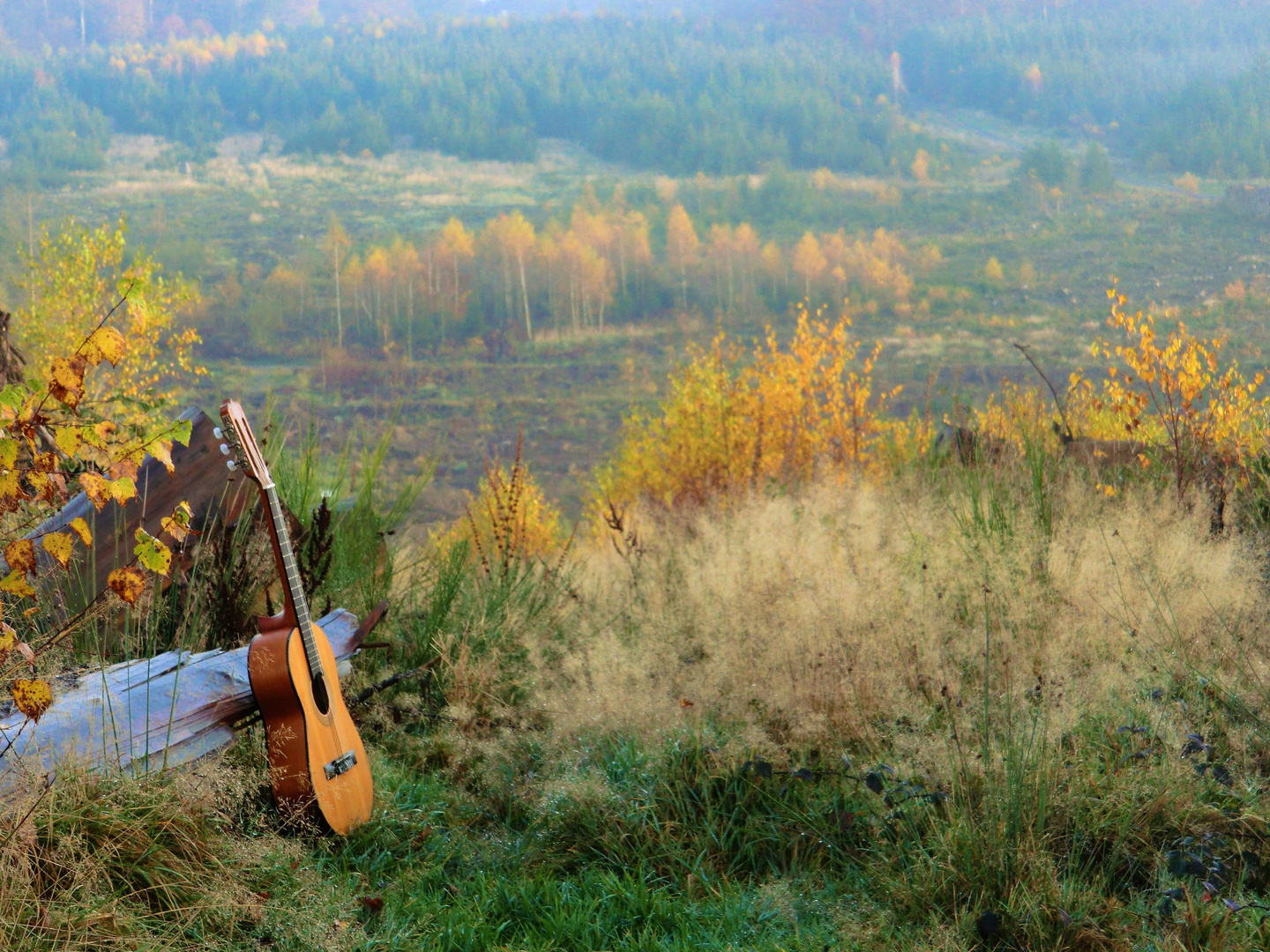 Wenn der Herbst Abschied nimmt