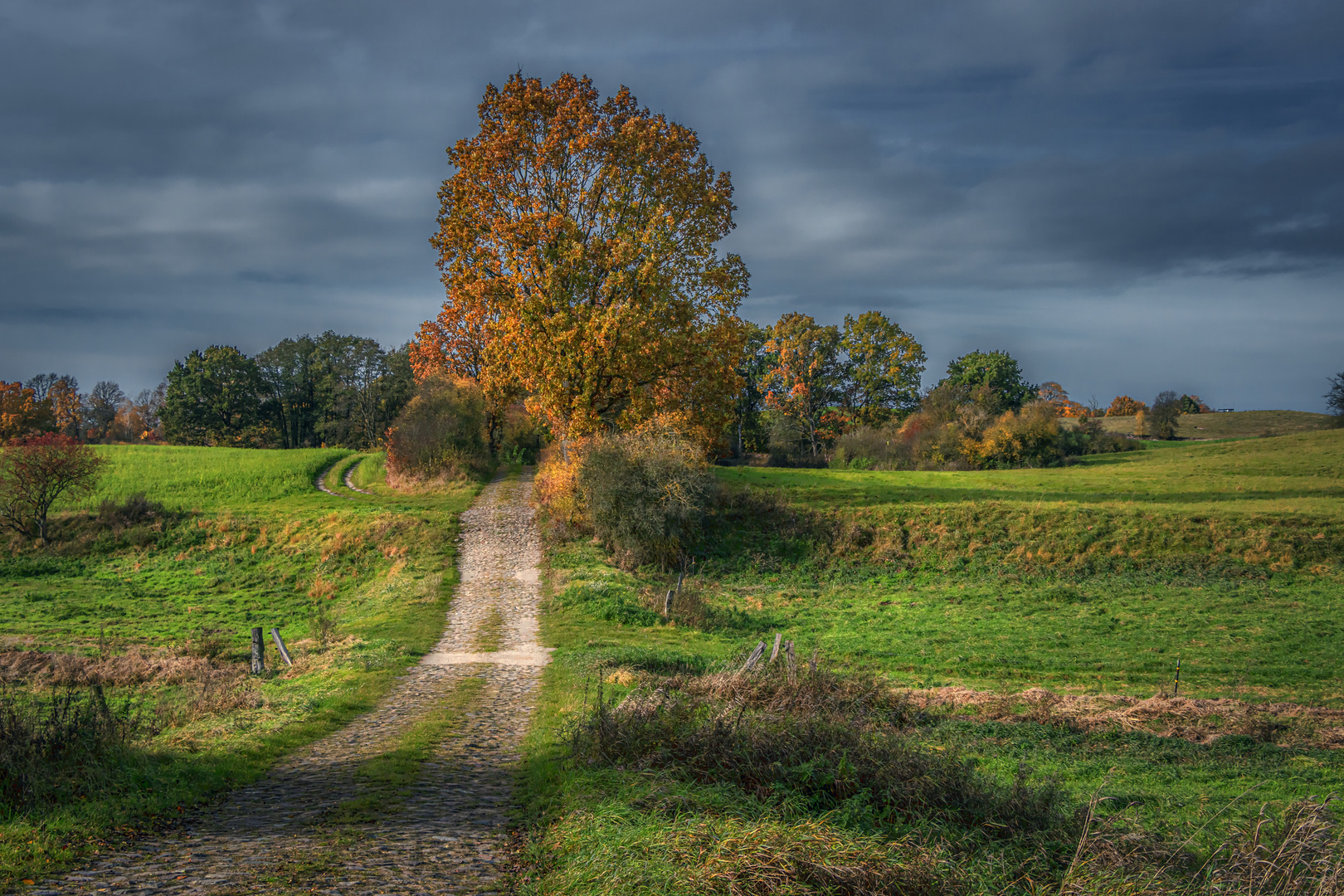 Wenn der Herbst am Schönsten ist ...