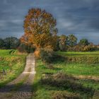 Wenn der Herbst am Schönsten ist ...