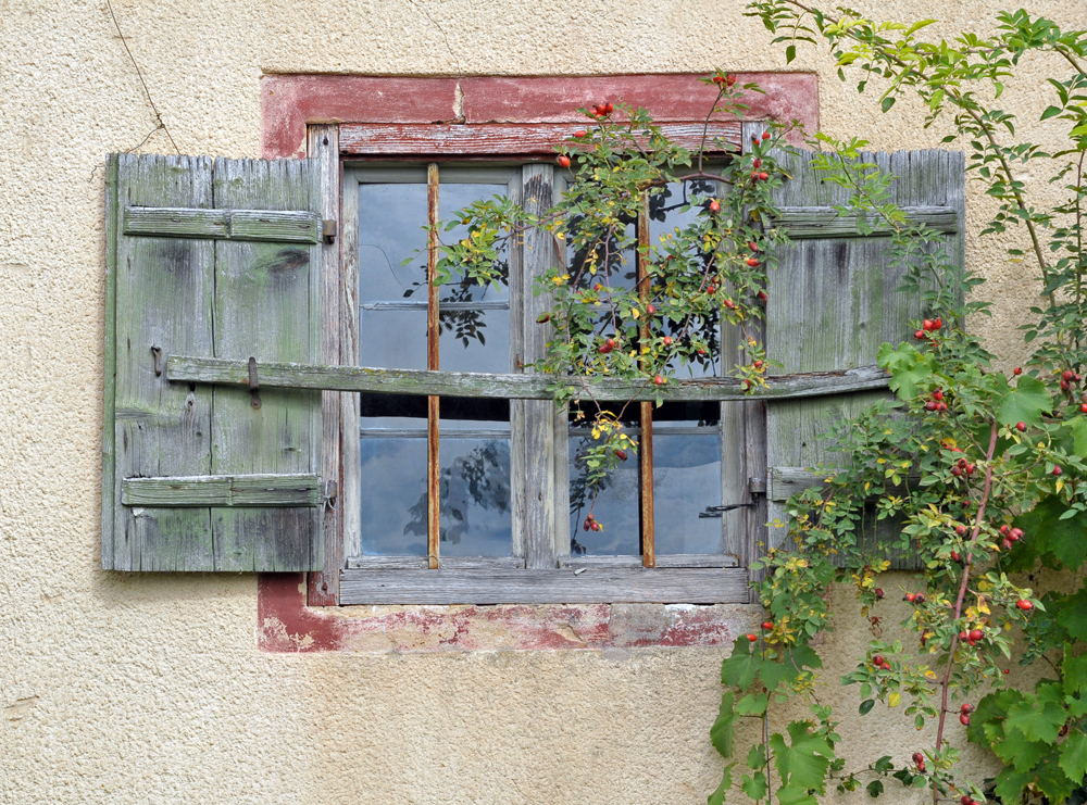 Wenn der Herbst ans Fenster klopft