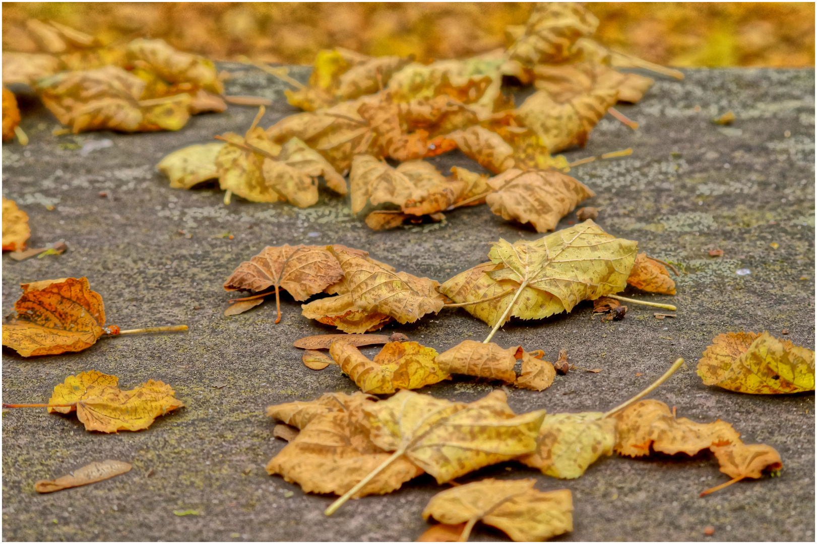 .wenn der Herbst da ist .