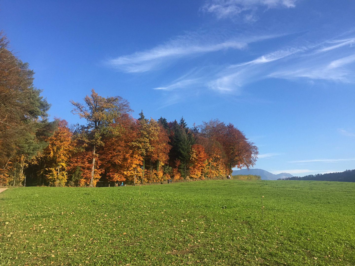 Wenn der Herbst die Blätter färbt ...