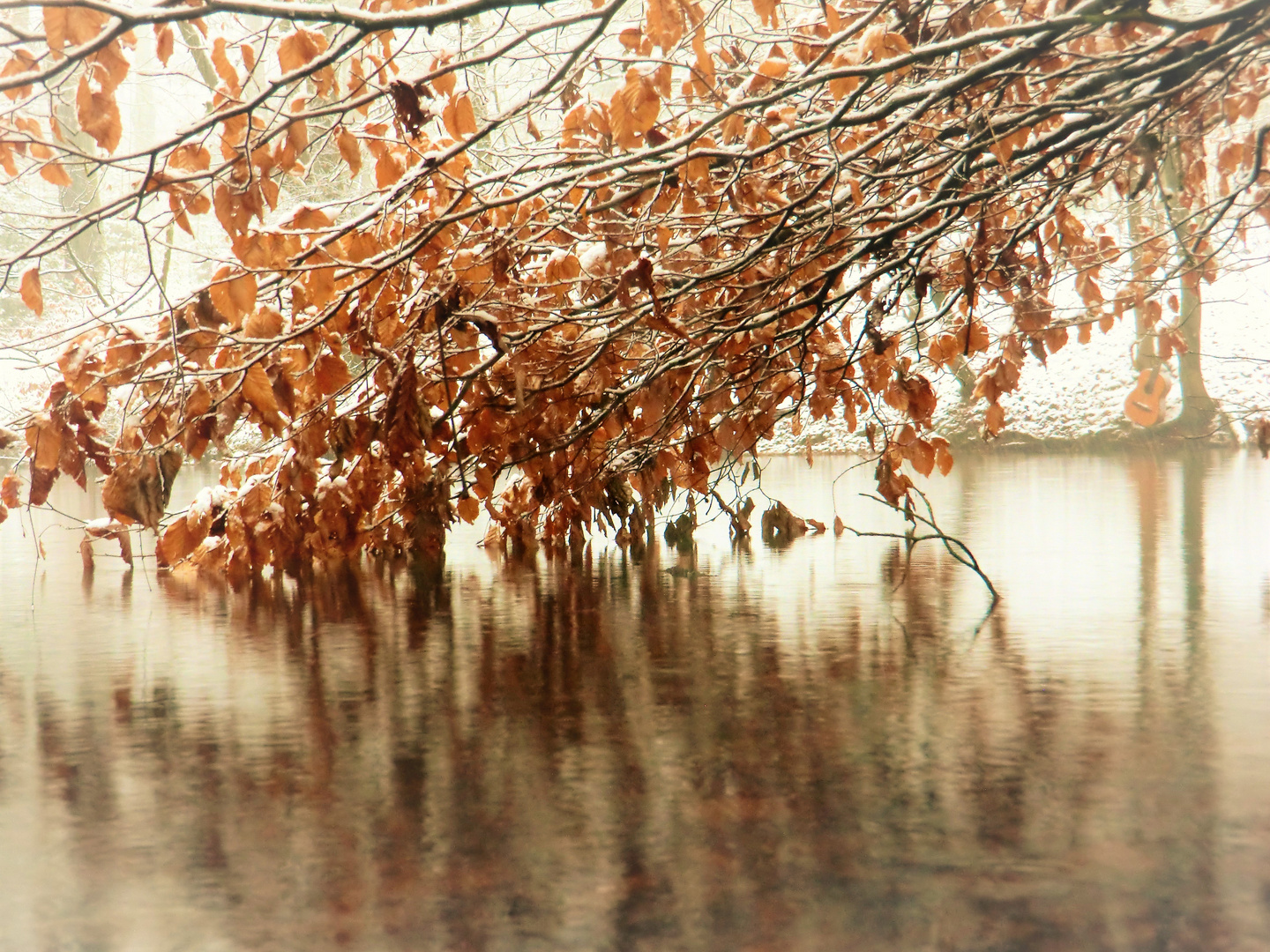 Wenn der Herbst in den Winter abtaucht