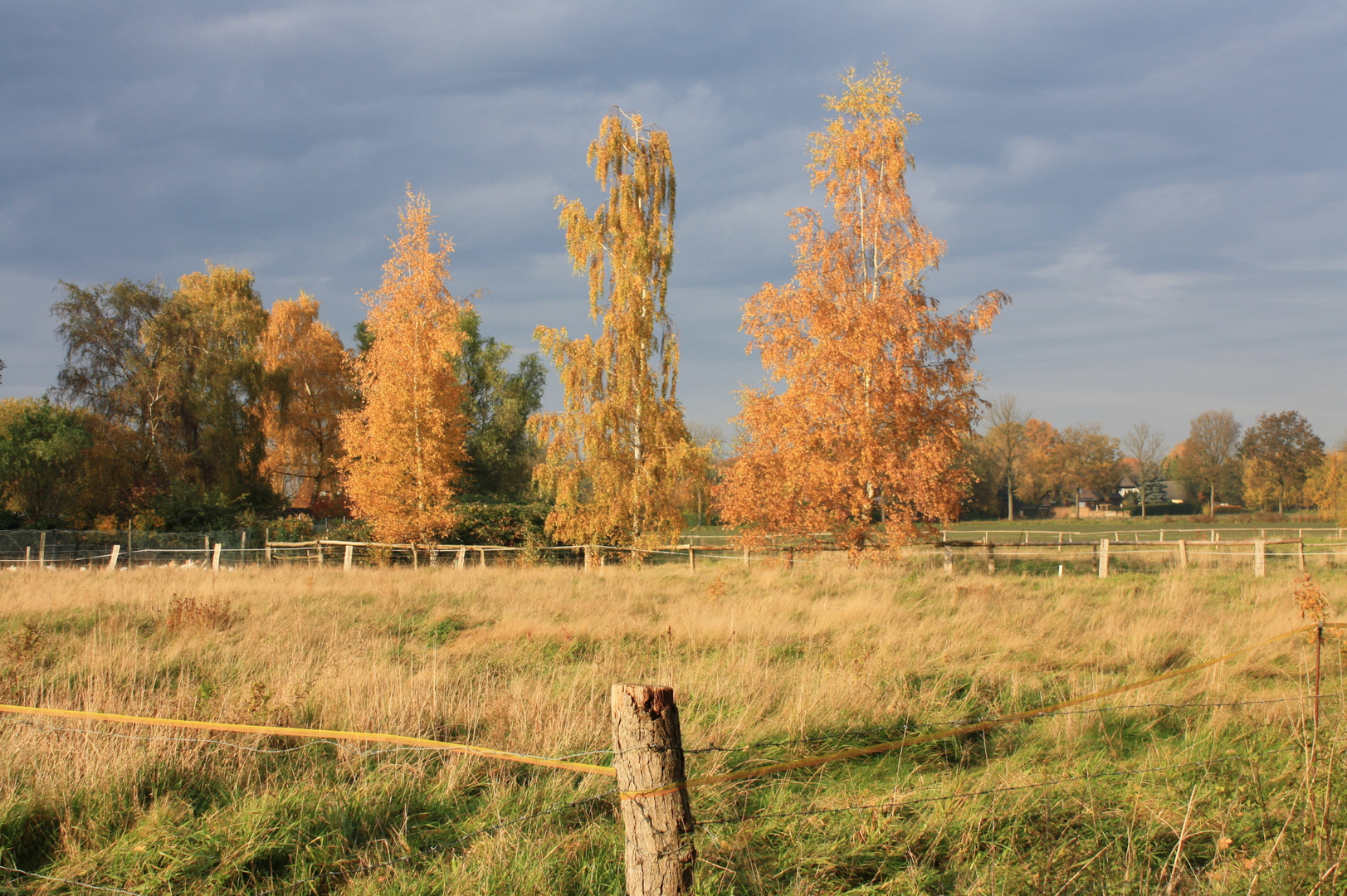 Wenn der Herbst kommt ändert sich alles.