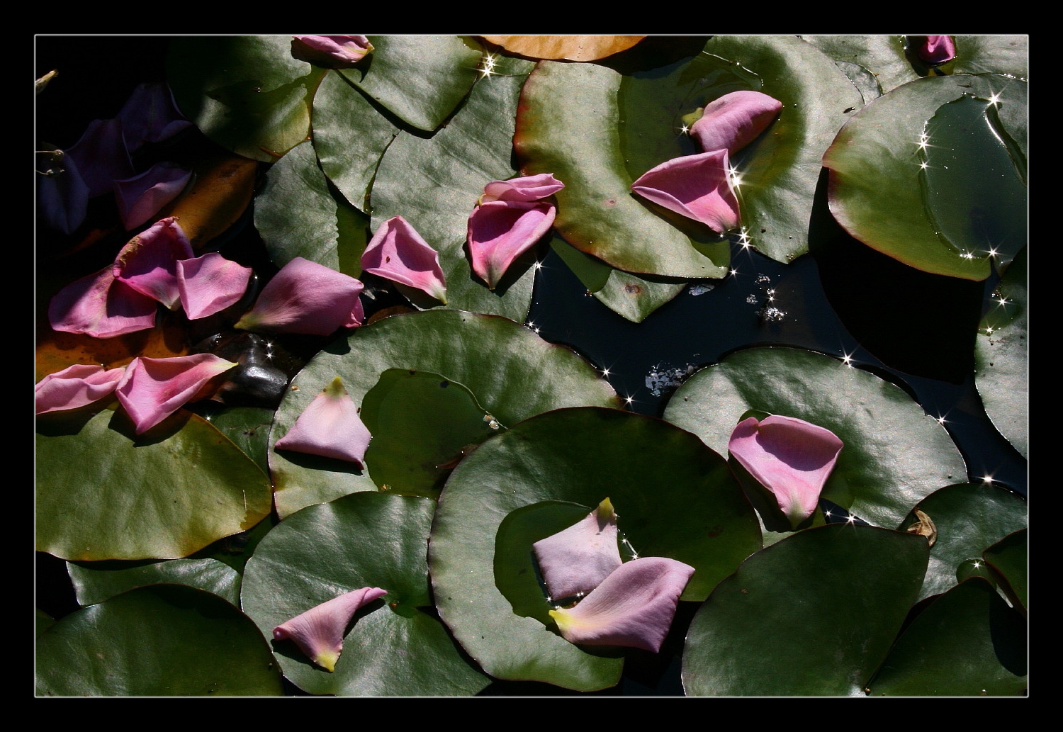 Wenn der Herbst nicht mehr weit ist ...