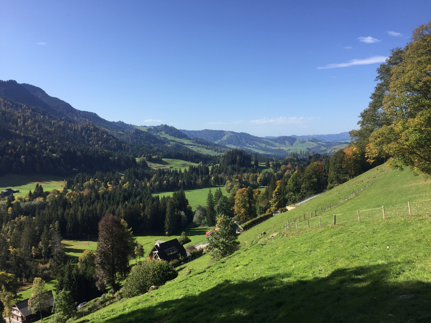 Wenn der Herbst sich ankündigt ...