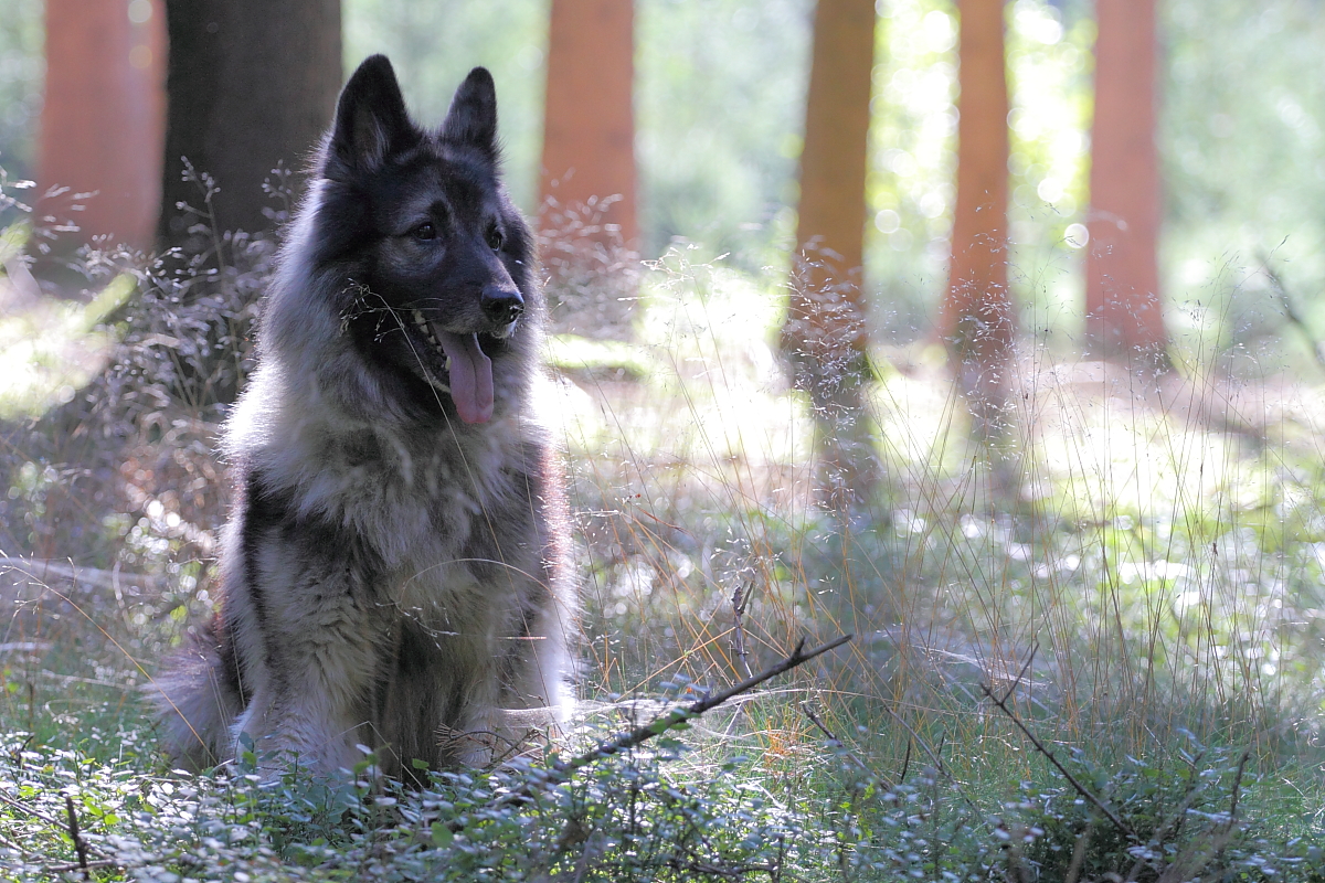 Wenn der Herbst so weitergeht...