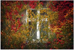 wenn der Herbst vor der Tür (dem Fenster)steht