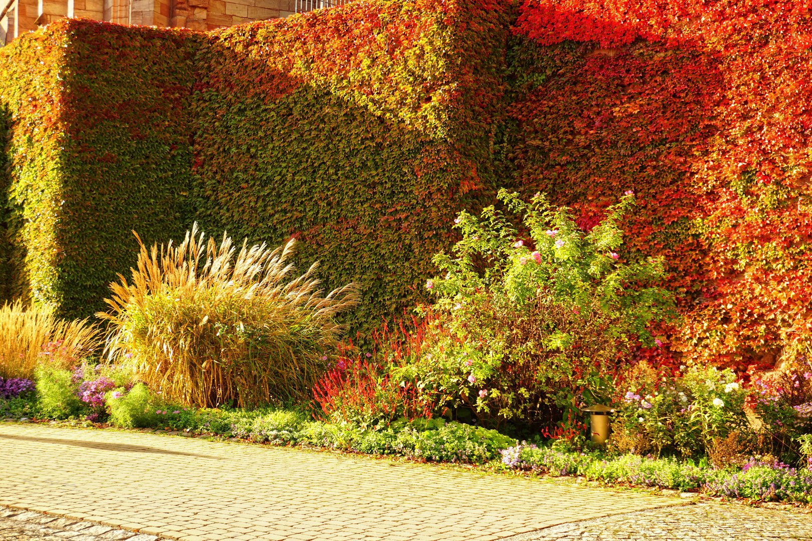 Wenn der Herbst zum Gartengestalter wird ...