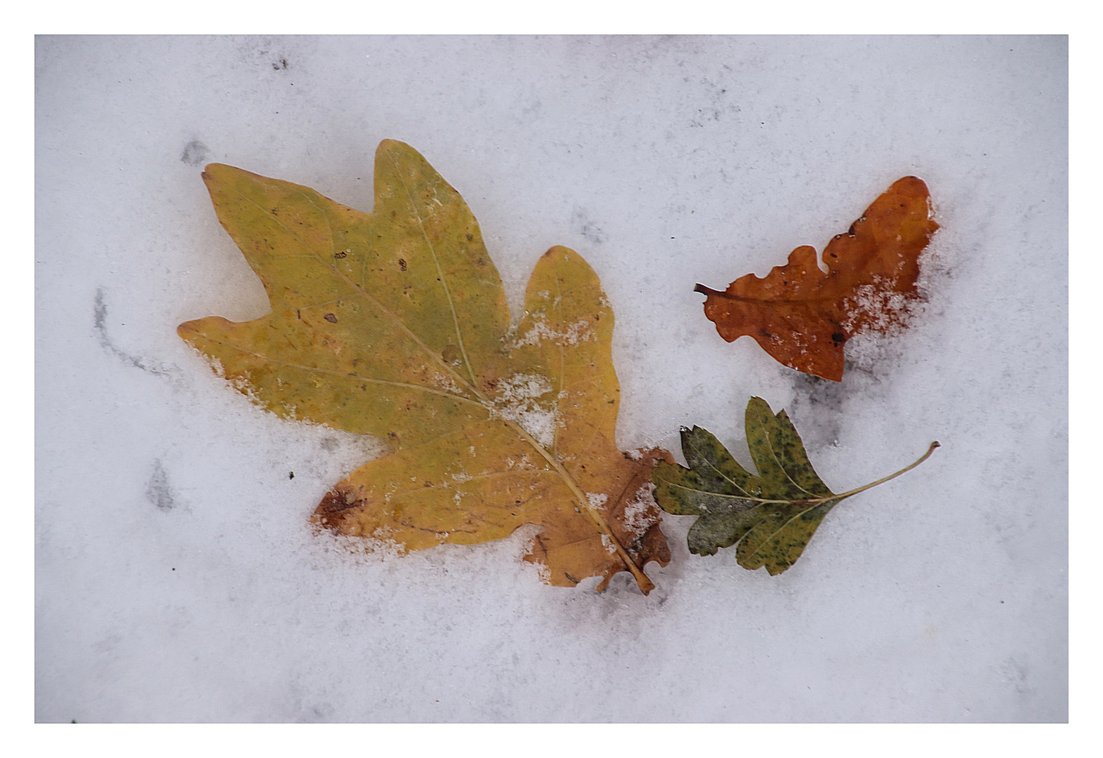 Wenn der Herbst zum Winter wird