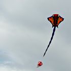 Wenn der Herbstwind kräftig weht...